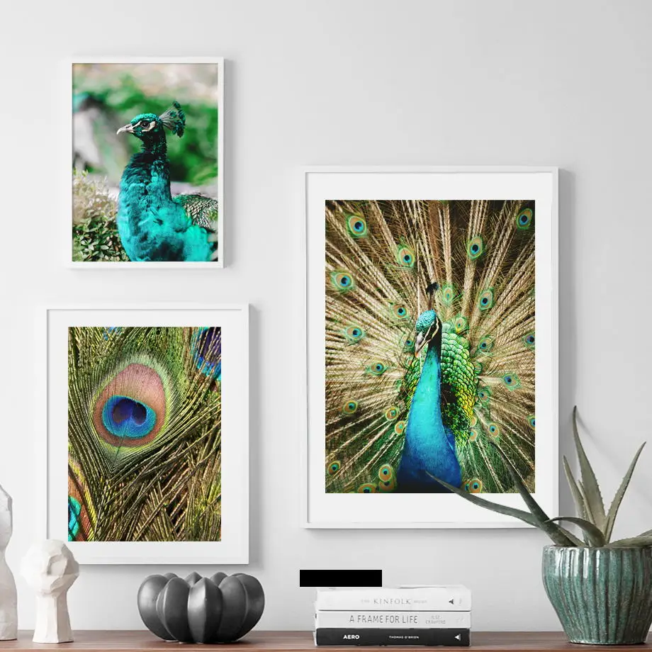 

Colored Peacock Feather Plant Nursery Wall Art Canvas Painting Nordic Posters And Prints Wall Pictures For Living Room Decor