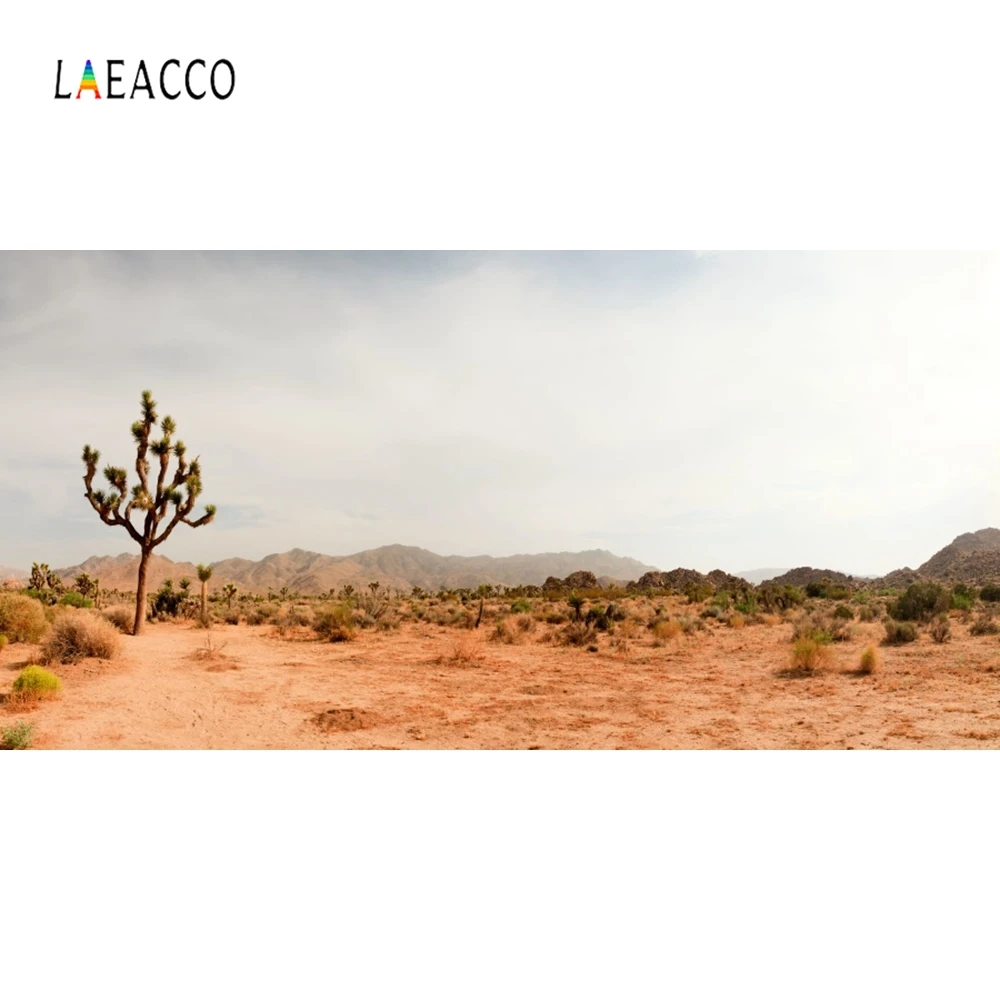 

Laeacco Plant Desert Cactus Nature Baby Backdrop Photography Backgrounds Customized Photographic Backdrops For Photo Studio