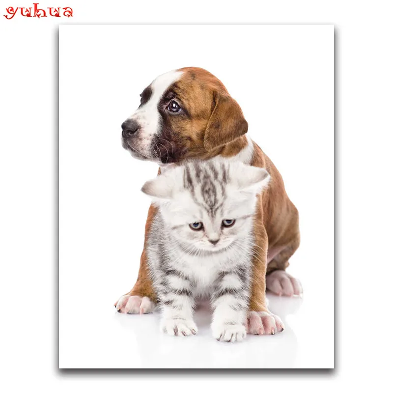 

Full Square Diamond mosaic colorful Art Full Round Diamond embroidery Dogs 5D DIY Diamond painting Cross stitch dierlijk kitten