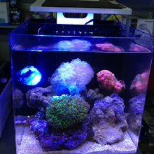 ZET светильник для аквариума 25 см всего 10 Вт Морской Коралл SPS LPS светодиодный светильник