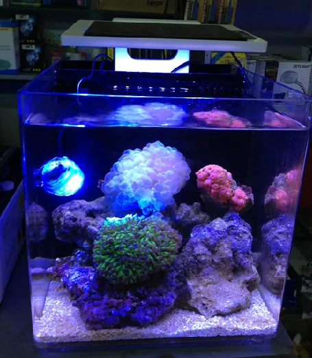 

ZET light Aquarium 25cm total 10W Sea marine coral SPS LPS Tank LED Light