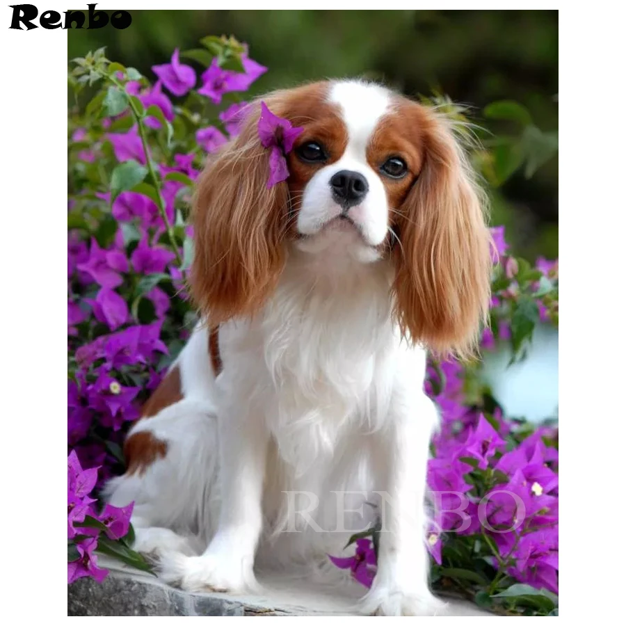 

5d Cavalier King Charles Spaniel diy paint with diamonds paintings mosaic pictures by rhinestones embroidery diamond art sticker
