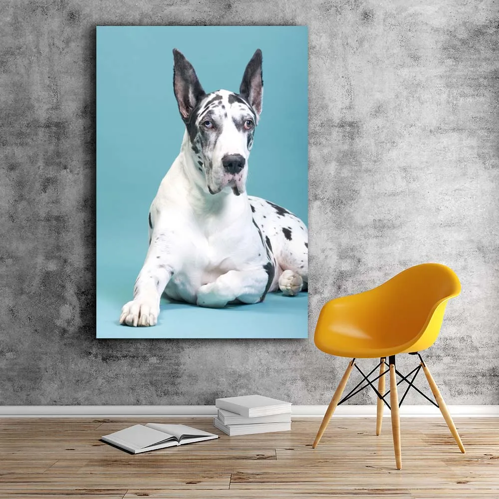 Nice Great Dane dog animal poster wall mural picture artwork canvas
