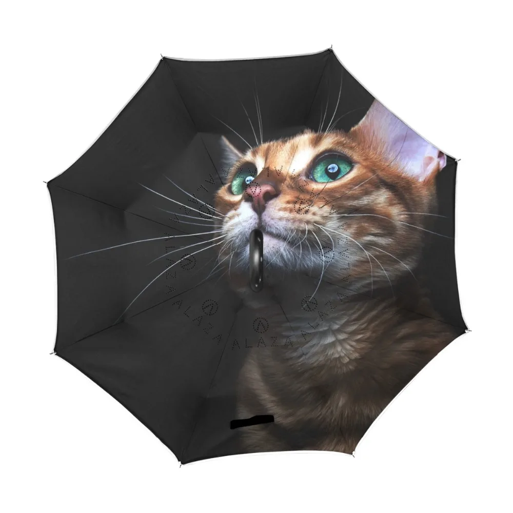 g3111987p183c217s313_1