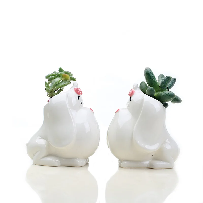 Succulent Plant Pot Cute Animal Flower Planter Cartoon Flowerpot Create Design Lovely Home Garden Bonsai Pots | Дом и сад