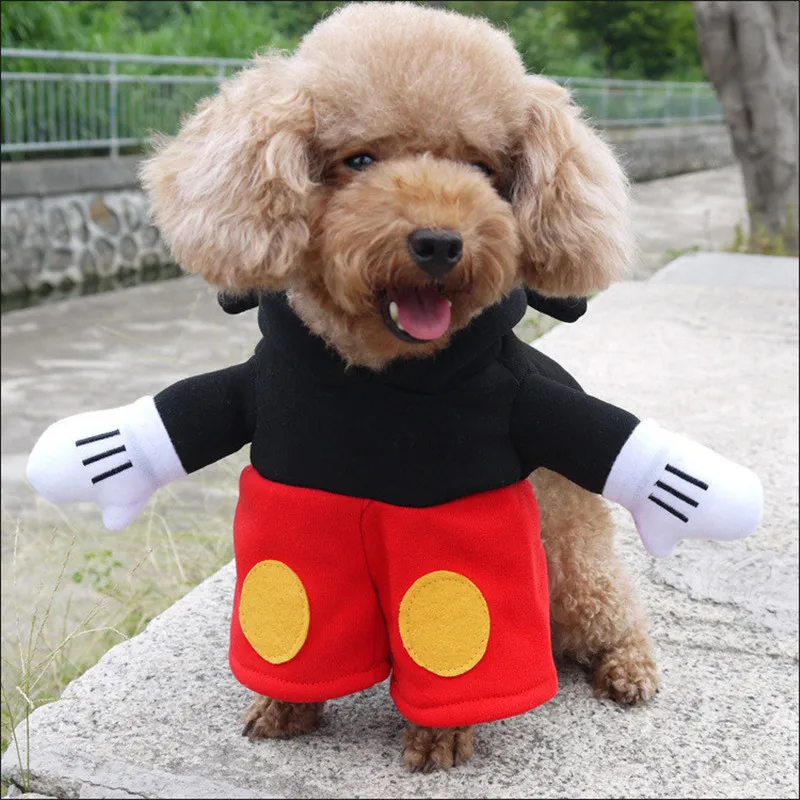NACOCO собака Микки Маус с капюшоном пальто комбинезон Собака Костюм для собаки рыцарский стиль нарядное платье костюм