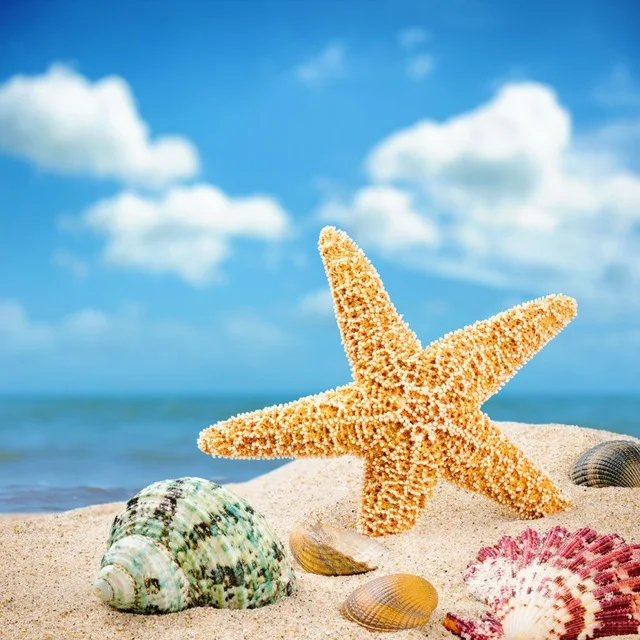The Beach Diamond Painting Kit Home Craftology