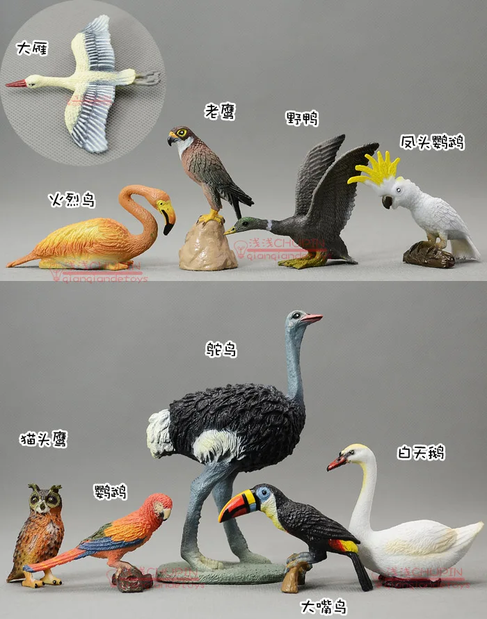 Твердая модель Тукан птица Страус Лебедь Фламинго Орел Сова попугай действие и игрушки коллекции фигурок украшения