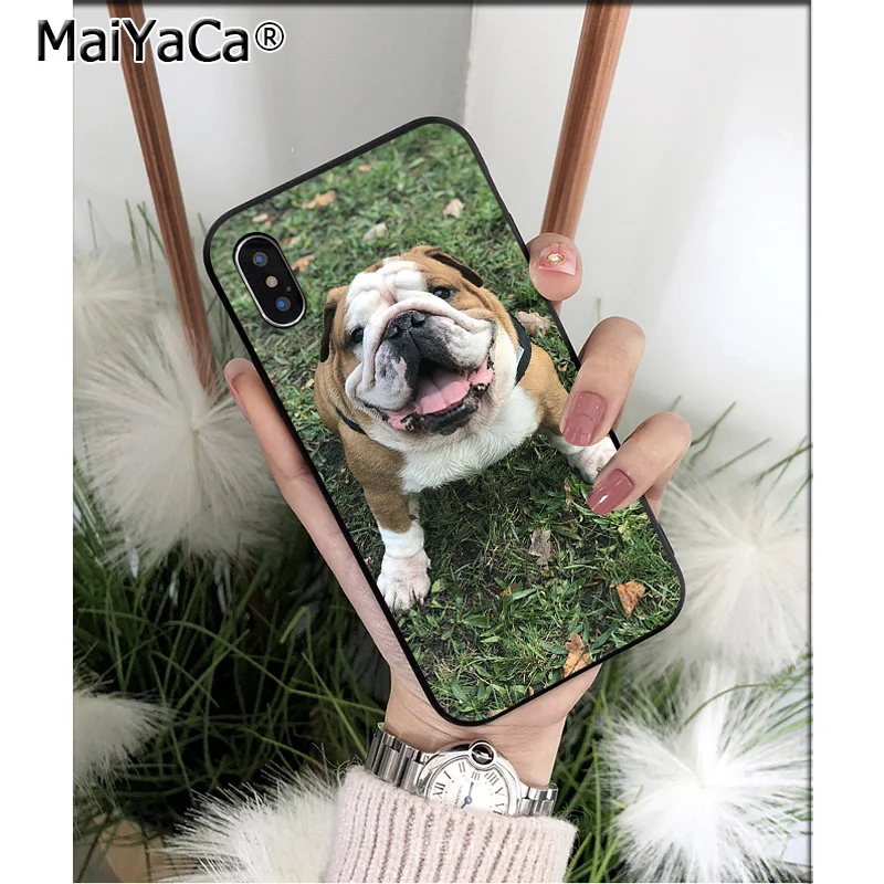 Cute Anime Bulldog