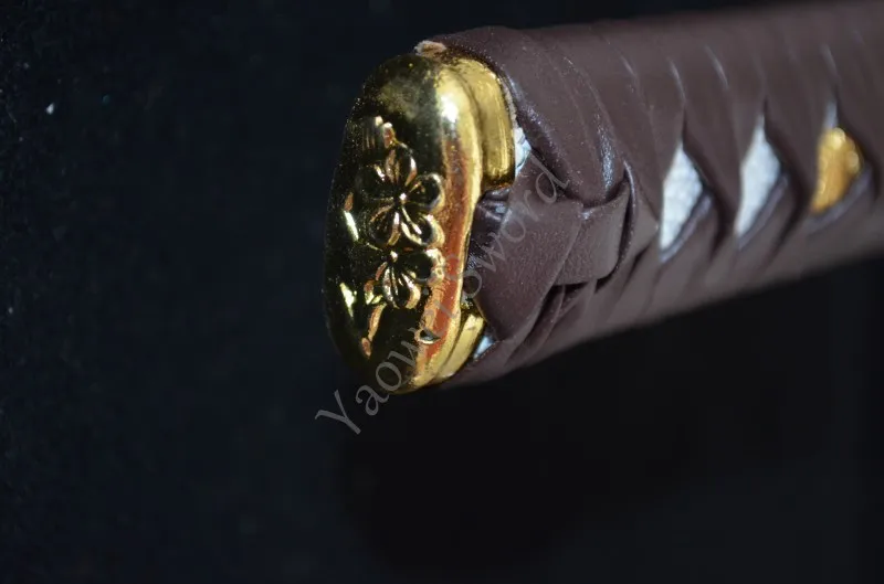 conew_dsc_0060