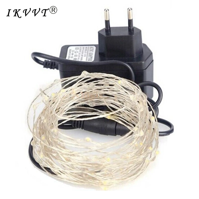 

Contains power Waterproof 5m~100m DC12V Starry Outdoor Copper/Silver Wire Led String Light for Christmas Wedding decoration