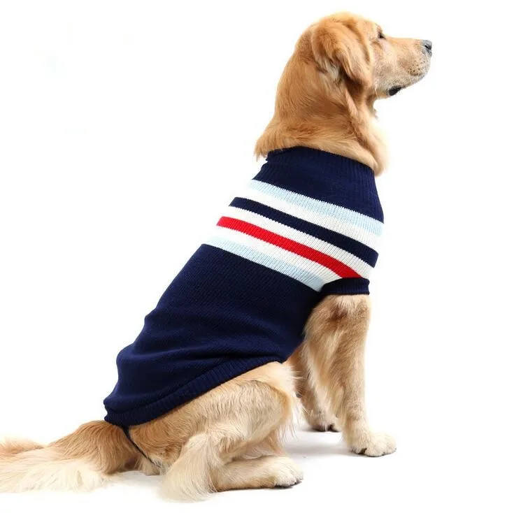 köpek kazağı