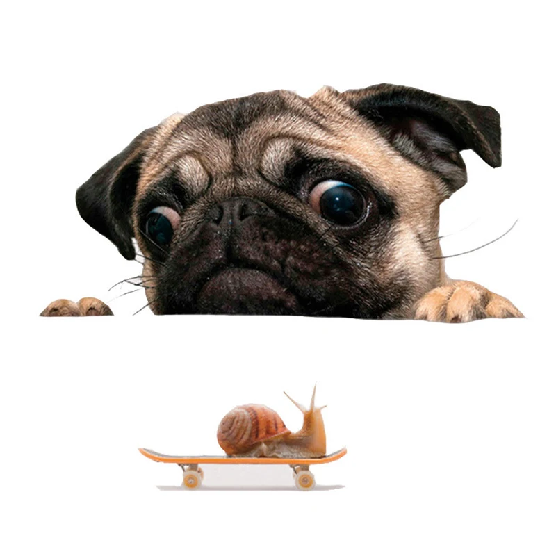

Funny 3D Pug Dogs Watch Snail Car Window Decal Cute Pet Puppy Laptop Sticker