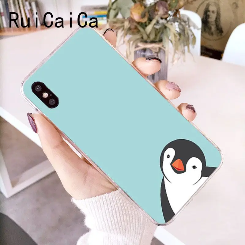 Cute Lovely Penguin