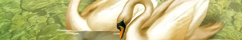 QQ20181006231436