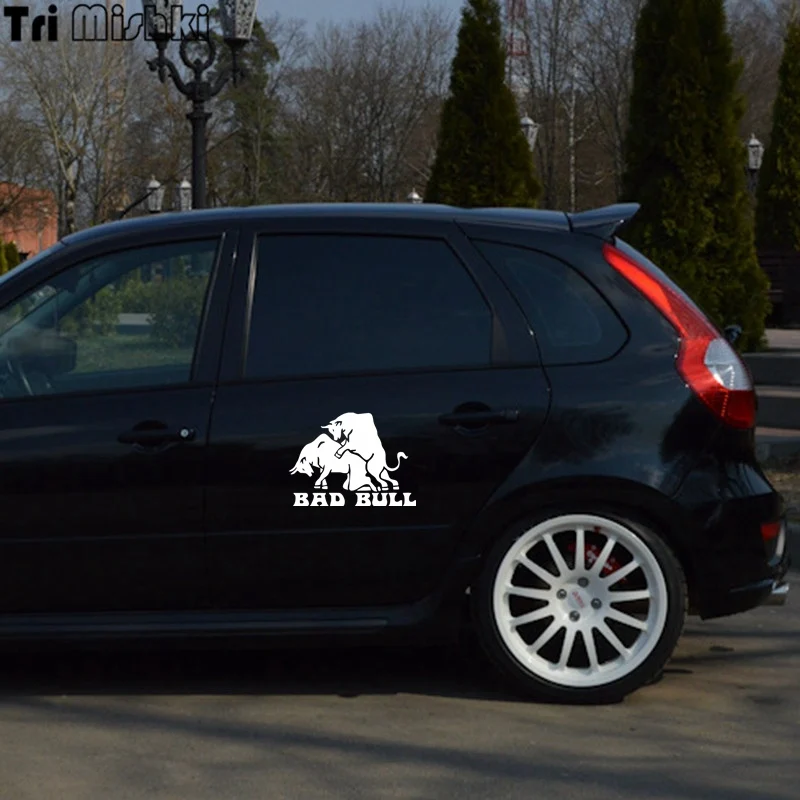 lada kalina (8)_