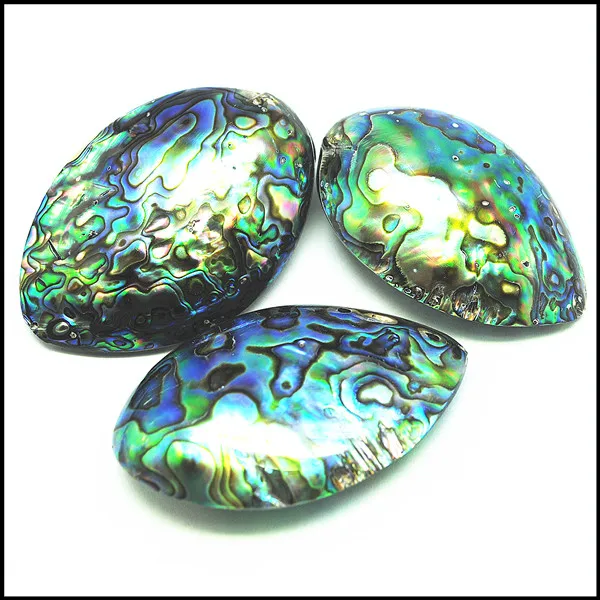 

nature paull shell abalone shell beads middle hole drilled through size 40-50mm selling by pieces natural shell