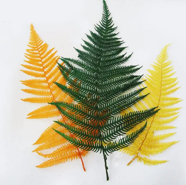 10pcs preserved green orange yellow fern leaf leaves for bouquet