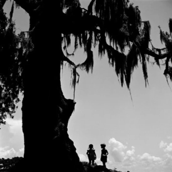 USA  Louisiana  Bayou  Kids standing under large tree Poster Print (18 x 24)