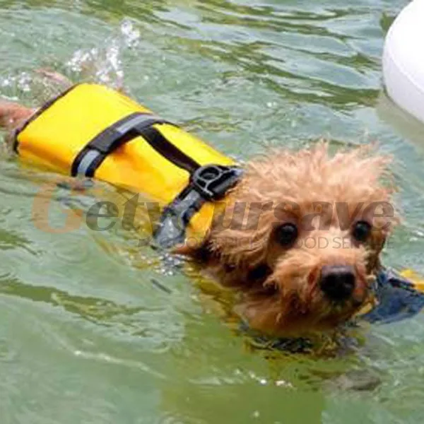 e67bd686-9b94-67d8-6c58-1e35a25fd24b