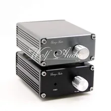 B3 TPA3116D2 Subwoofer Digital Power Amplifier Mono 100W HiFi Mini AMP With Power Supply