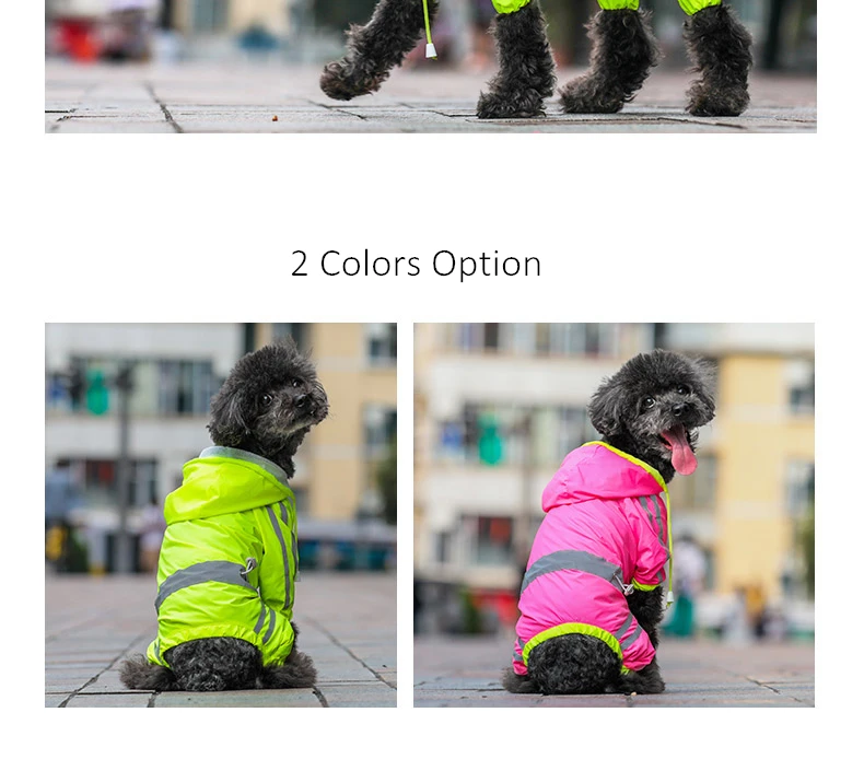 dog raincoat for small dogs (3)