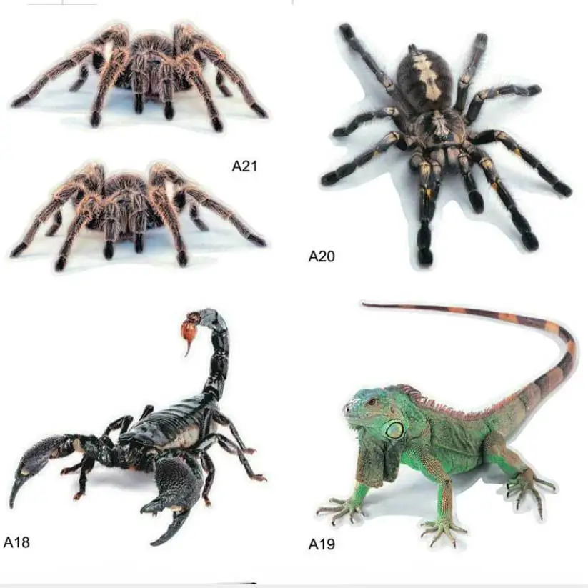 

JOORMOM New Stereo Car Spider Lizard Animal Car Sticker Simulation Modified Car Rear Sticker Car Interior Accessories