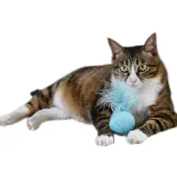 Новинка 2017 года новый милый игрушечный Кот натуральная кошачья мята мяч ментоловый аромат Cat лечит 100% Съедобные кошки-go-crazy лечит кольцо мяч