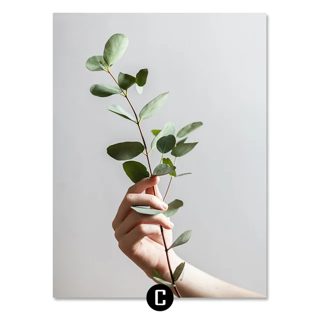 ART-ZONE-Green-Tree-Branch-Still-Life-Painting-Plant-Art-Photography-Poster-Modern-Wall-Picture-Living.jpg_640x640 (2)