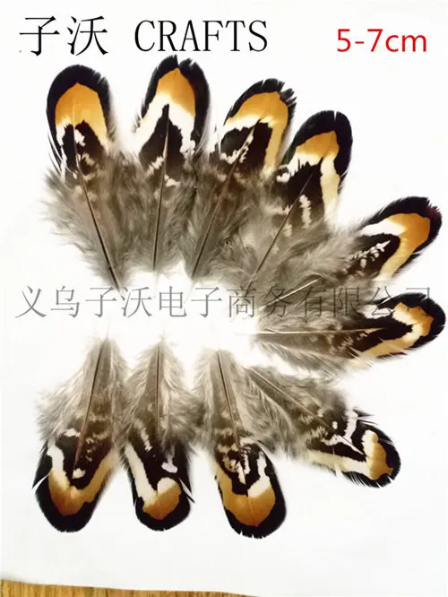 CEAC10D042170E62284382D7CFAE5CDC_