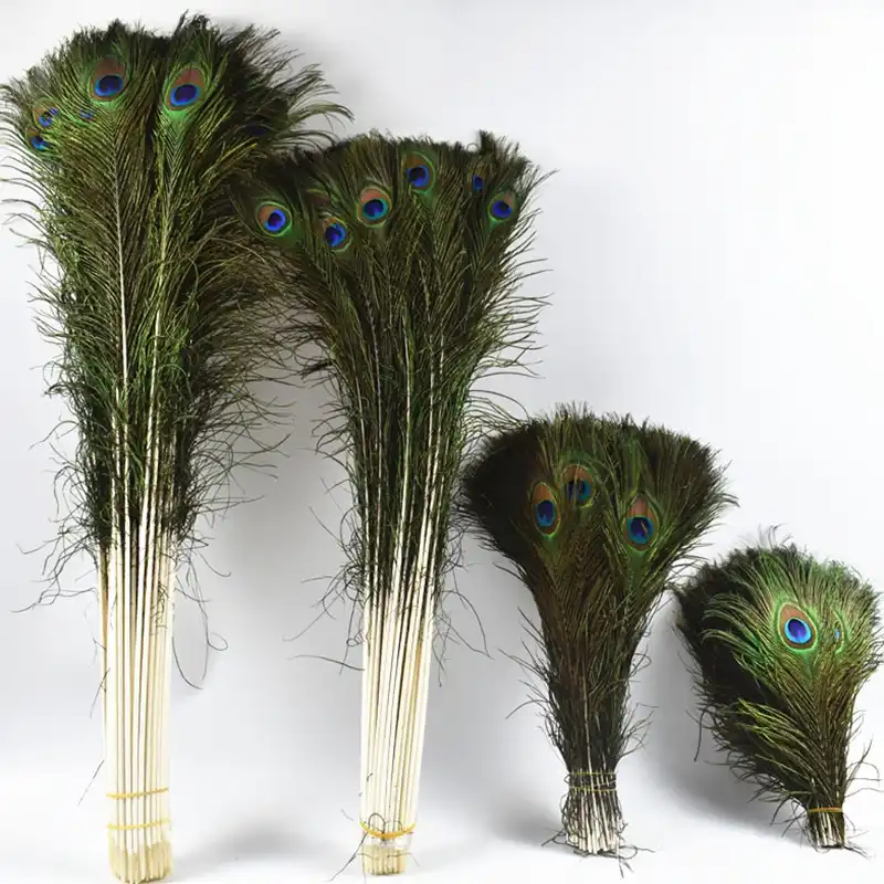 Top quality Pink Peacock Feather 10-1000pcs//lot length about 80-90cm //32-36inch