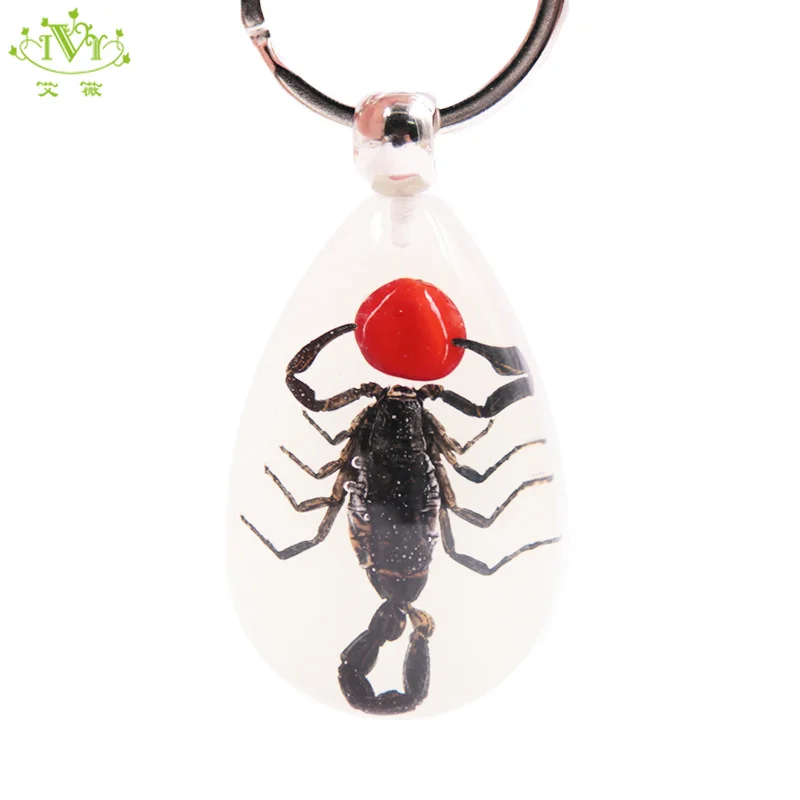 

Factory wholesale promotional green glow key chain luminous scorpions resin key chain keys
