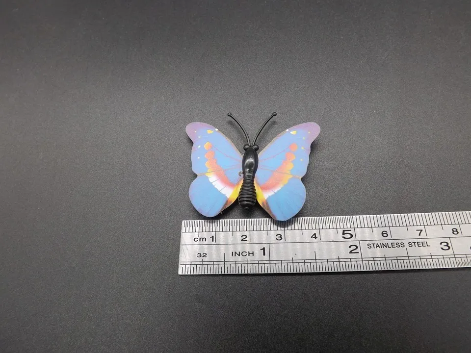 I266-Butterfly (10)