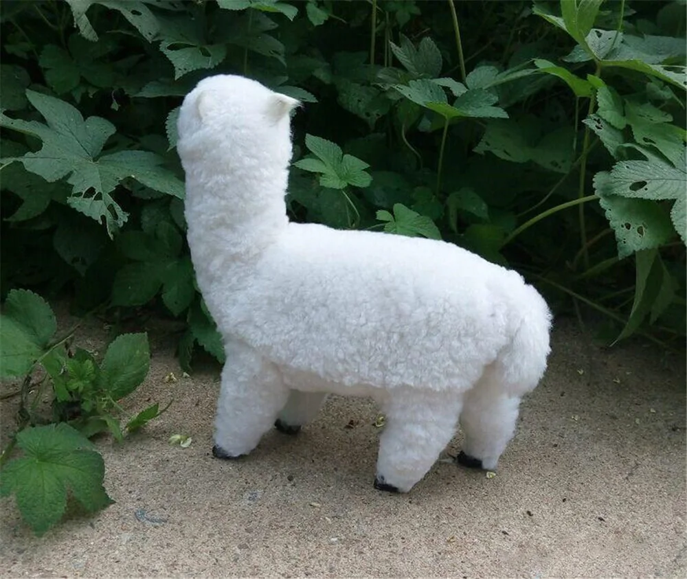 simulational animals white alpaca plush toy made of fur and polyethylene  sheep doll gift home decoration 3