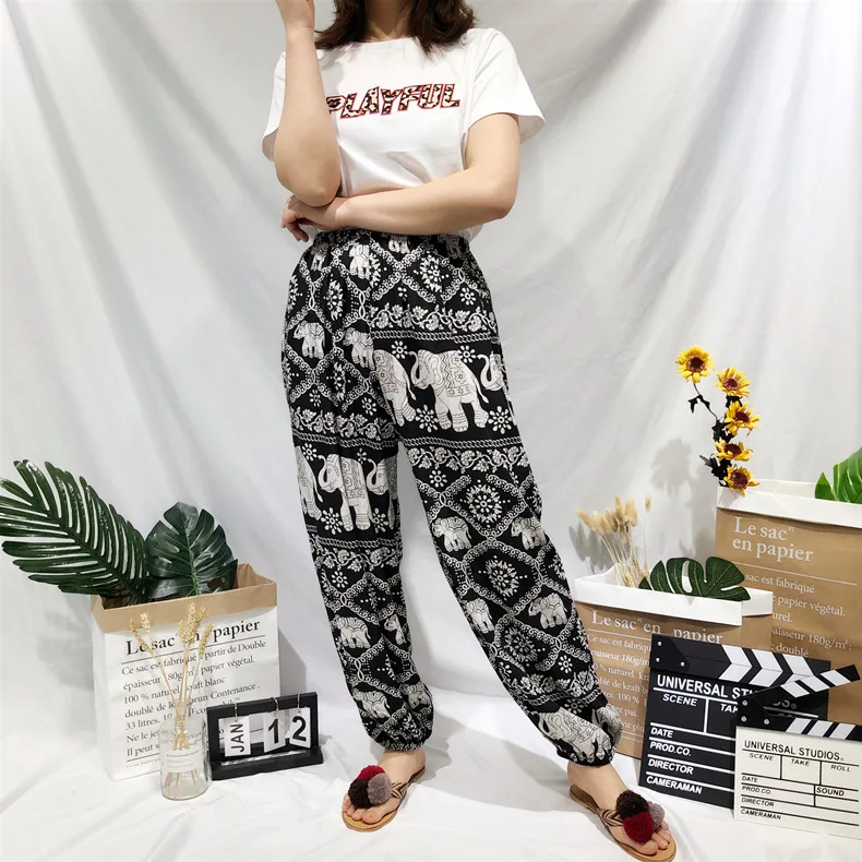 10563246831_934556889