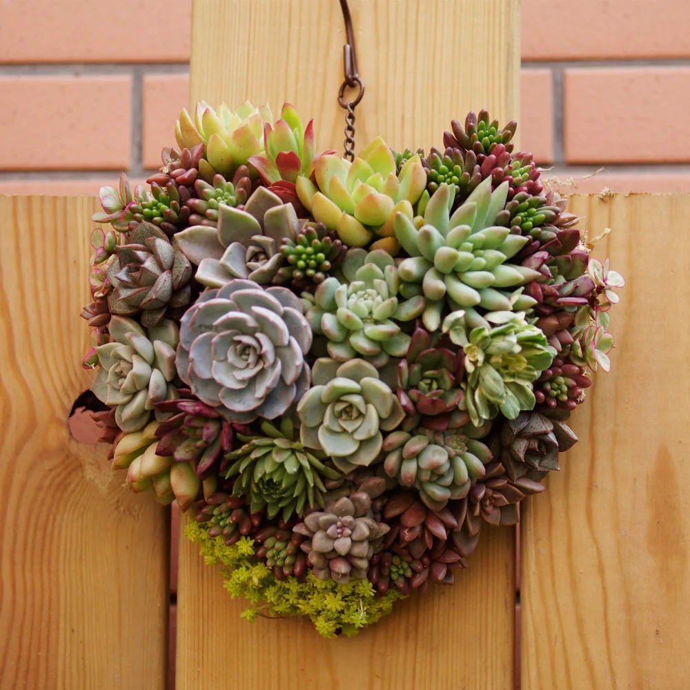 Sweetheart Hanging Flower Basket Wall Mounted Vertical Gardening Sweetheart Hanging Flower Basket Wall Mounted Vertical Gardening Pot Planting Bag Living Indoor Planter In Baskets From Home Garden On