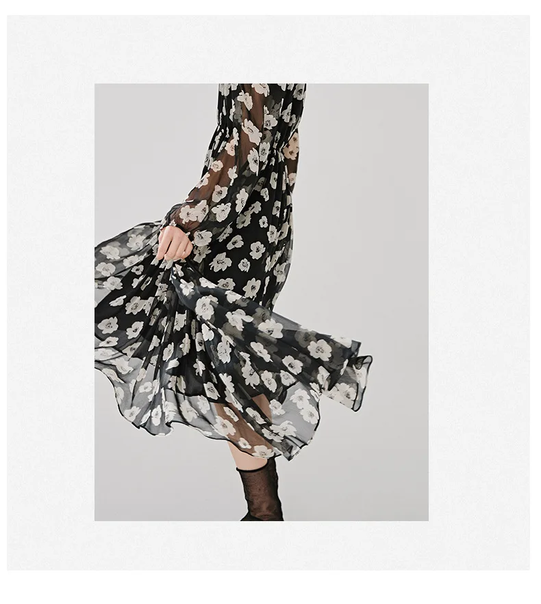 11036749601_92779457