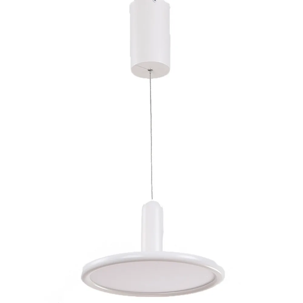 

21W With Light Source Simple Style Droplight Iron Droplight with free shipping