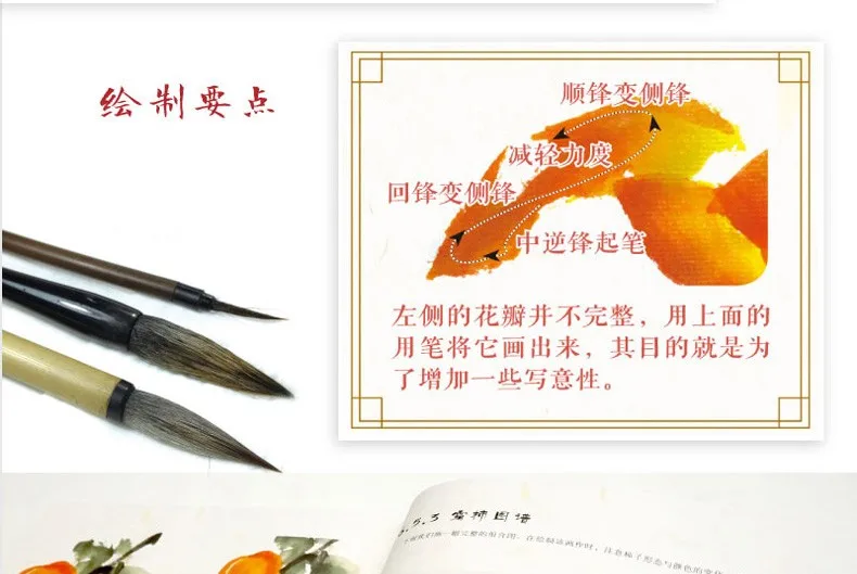 TB2qapRoVXXXXanXXXXXXXXXXXX_!!2591108390