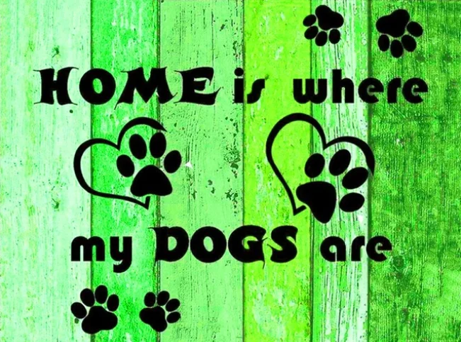 HTB1hcwrmNWYBuNjy1zkq6xGGpXah