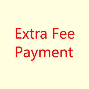 

Russian Extra Fee Payment Link