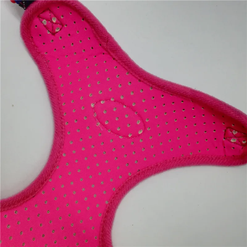 Dog Harness for Small Dogs (4)