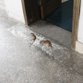 

Catcher PVC Board Mice Trap Transparent Waterproof Factory Family Pest Control Rat Killer Strong Glue Reusable Sticky Mouse
