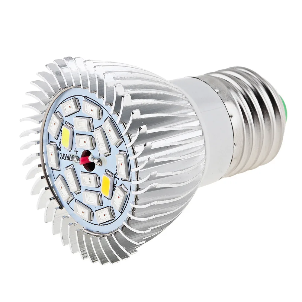 25804-description-3-l0