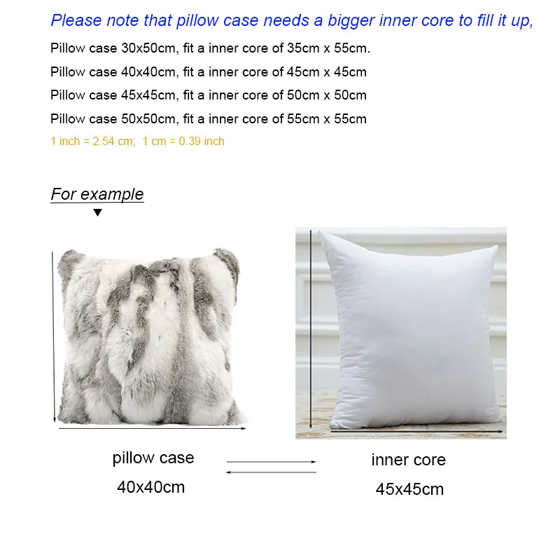 pillow case and core 800x800