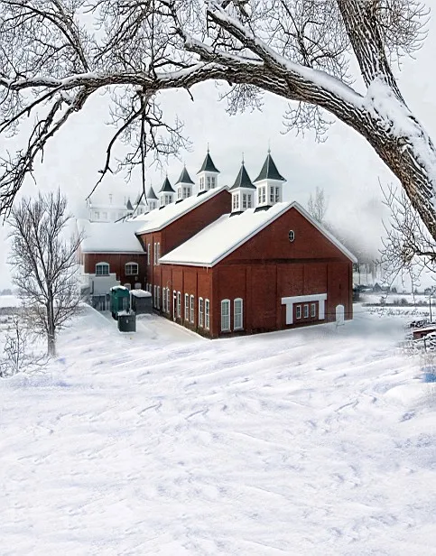 200CM*150CM fundo Snow houses branches3D baby photography backdrop background LK 1880 | Электроника