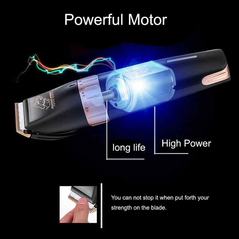 1 (10)