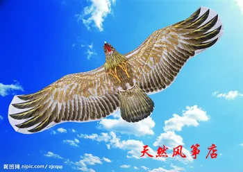 

2016 new beautiful 3d bird outdoor games kiting storm eagle stunt kites for sale large Weifang kite traditional flying toys bar