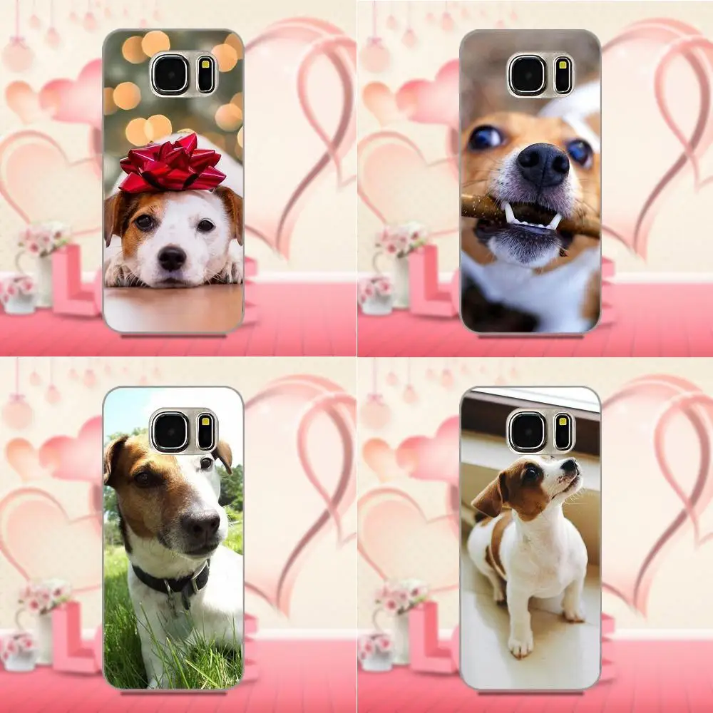 

Soft Cases Fundas For Apple iPhone X 4 4S 5 5C SE 6 6S 7 8 Plus For LG G4 G5 G6 K4 K7 K8 K10 Jack Russell Dog Puppy Customized
