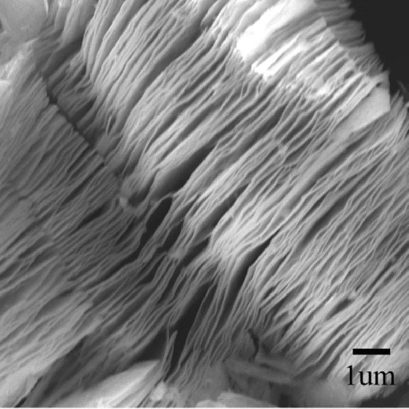 MXene MAX phase ceramic titanium aluminum V2AlC Ti2AlN Cr2AlC Ti3AlC2